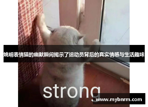 姚明表情猫的幽默瞬间揭示了运动员背后的真实情感与生活趣味
